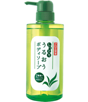 アロエ製薬育毛液 直づけタイプ (医薬部外品) | 小林製薬の通販(育毛