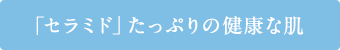 「セラミド」たっぷりの健康な肌