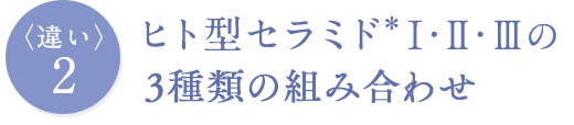 ヒト型セラミド＊Ⅰ・Ⅱ・Ⅲのトリプルアプローチ