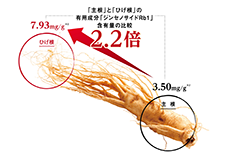 有用成分が約2.2倍のひげ根を厳選！