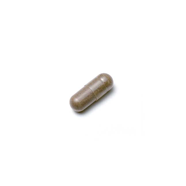 抗源力 フコイダン | 小林製薬の通販(健康食品・サプリメント)