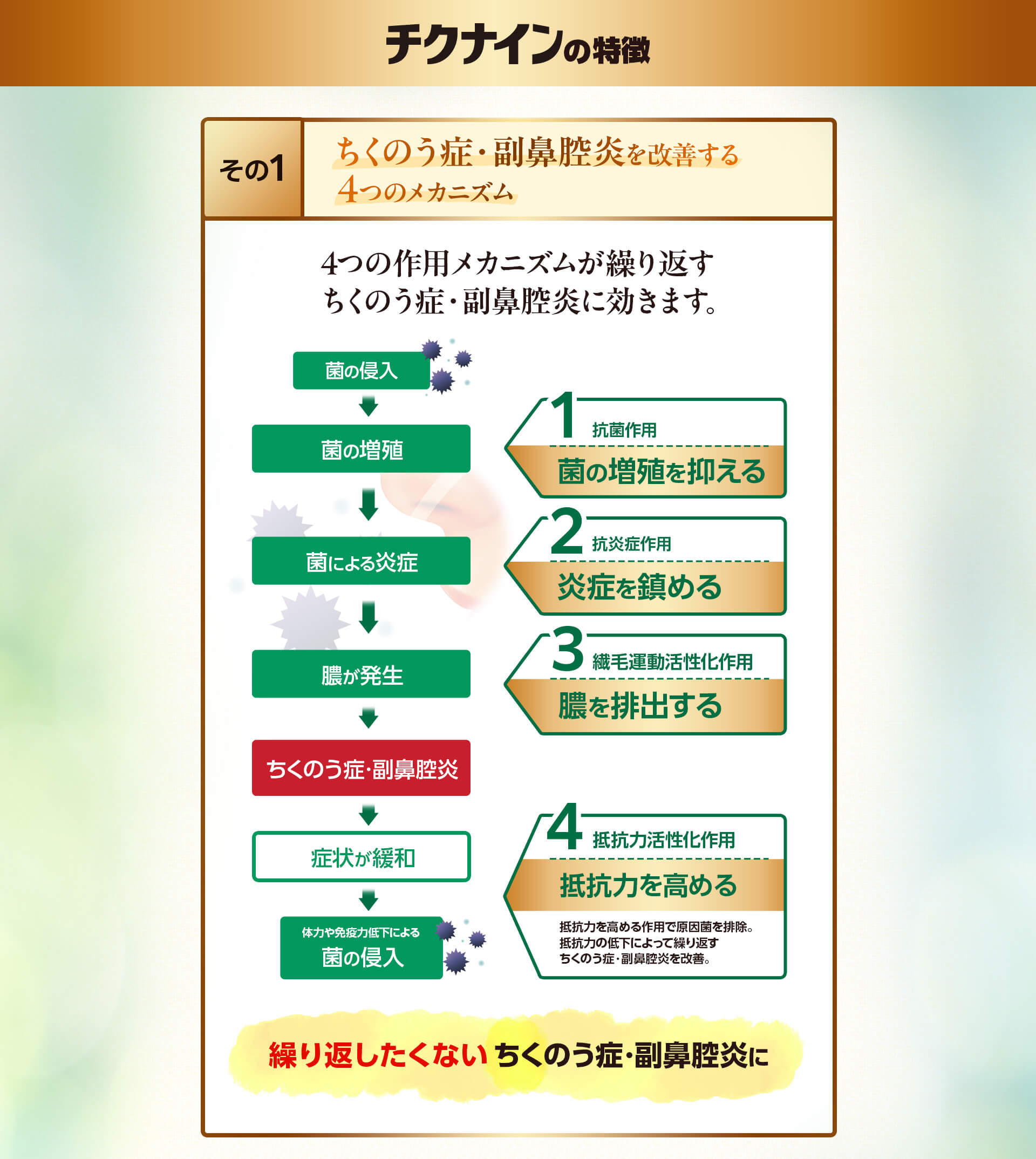 チクナインの特徴 その1 ちくのう症状・副鼻腔炎を改善する4つのメカニズム