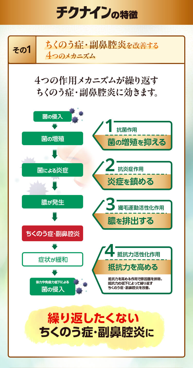 チクナインの特徴 その1 ちくのう症状・副鼻腔炎を改善する4つのメカニズム