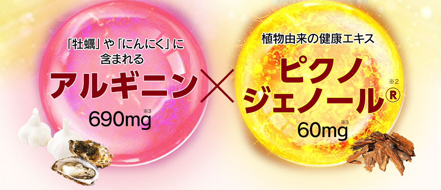 「牡蠣」や「にんにく」に含まれるアルギニン 690mg※3 植物由来の健康エキスピクノジェノール®※2 60mg※3