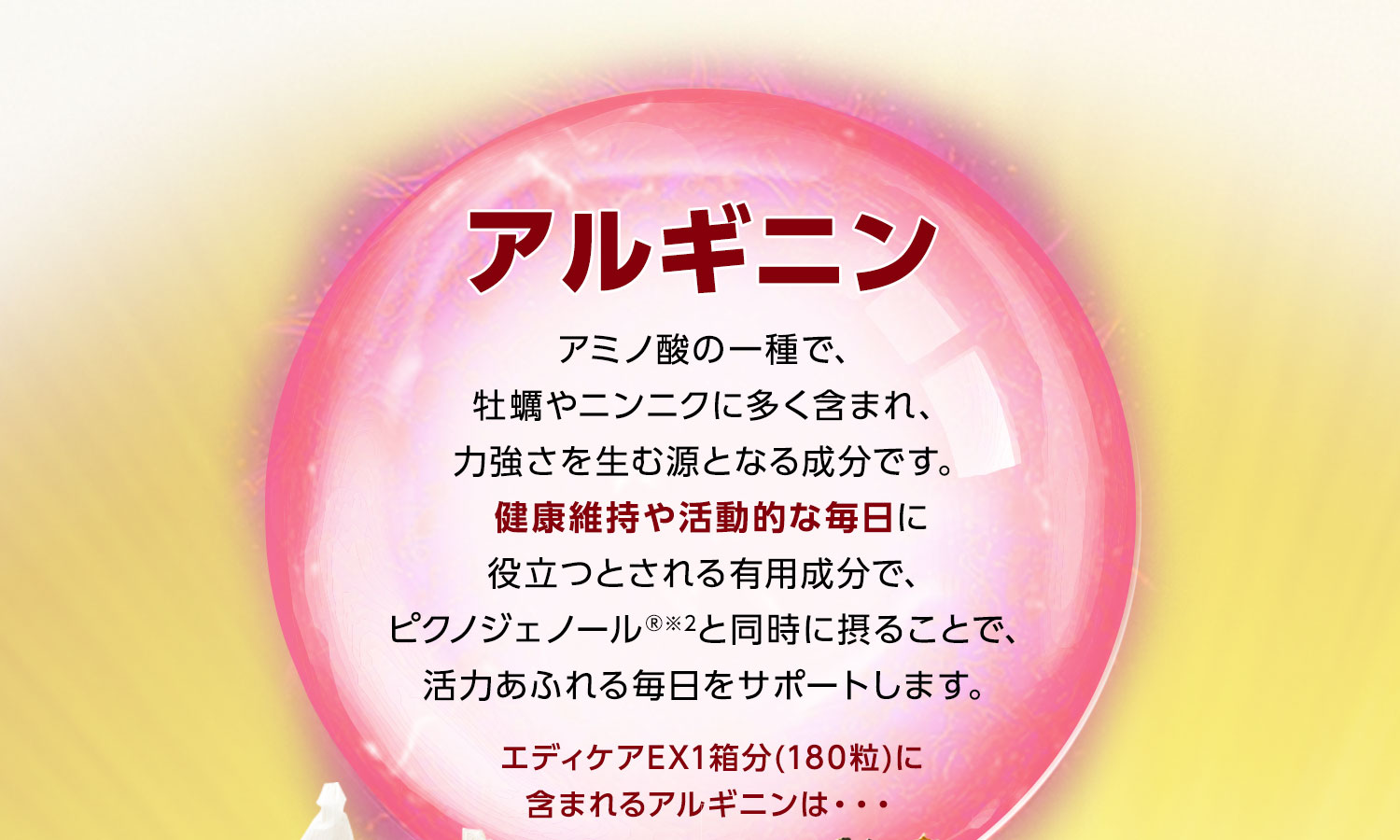 アルギニン アミノ酸の一種で、牡蠣やニンニクに多く含まれ、力強さを生む源となる成分です。健康維持や活動的な毎日に役立つとされる有用成分で、ピクノジェノール®︎※2と同時に摂ることで、活力あふれる毎日をサポートします。エディケアEX1箱分(180粒)に含まれるアルギニンは・・・