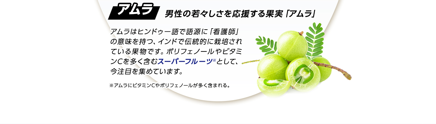 アムラ 男性の若々しさを応援する果実「アムラ」アムラはヒンドゥー語で語源に「看護師」の意味を持つ、インドで伝統的に栽培されている果物です。ポリフェノールやビタミンCを多く含むスーパーフルーツ※として、今注目を集めています。※アムラにビタミンCやポリフェノールが多く含まれる。