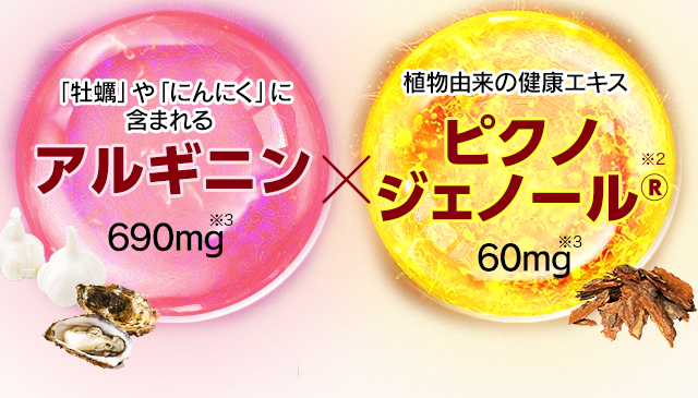 「牡蠣」や「にんにく」に含まれるアルギニン 690mg※3 植物由来の健康エキスピクノジェノール®※2 60mg※3