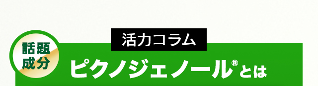 話題成分 活力コラム ピクノジェノール®とは