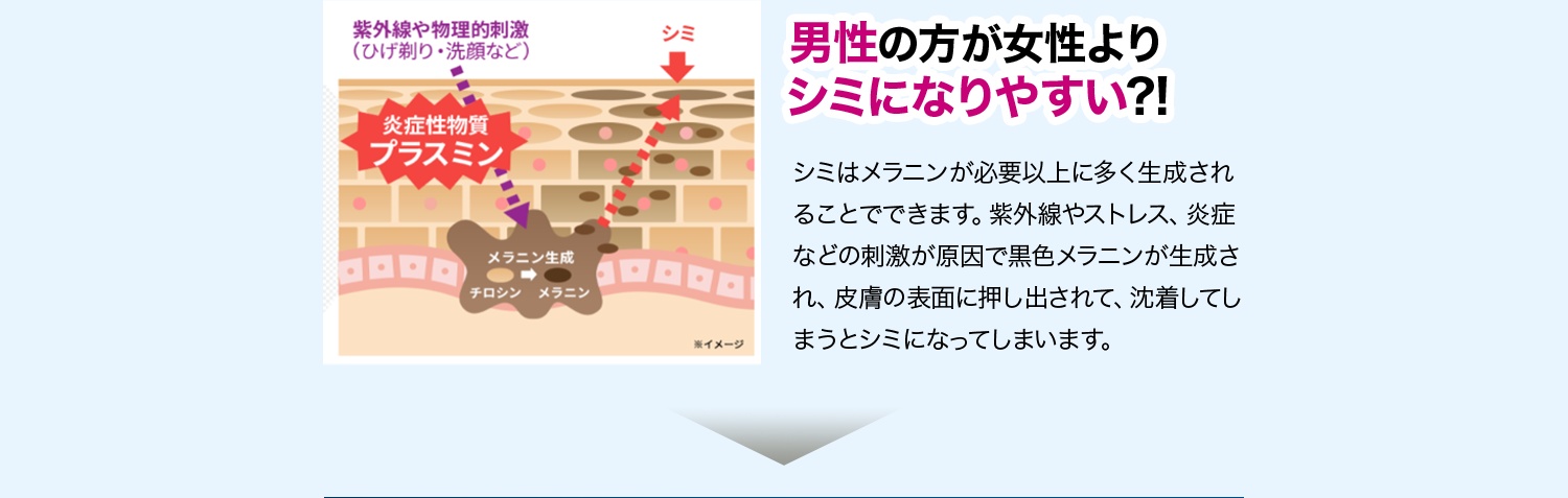 男性の方が女性よりシミになりやすい?! シミはメラニンが必要以上に多く生成されることでできます。紫外線やストレス、炎症などの刺激が原因で黒色メラニンが生成され、皮膚の表面に押し出されて、沈着してしまうとシミになってしまいます。