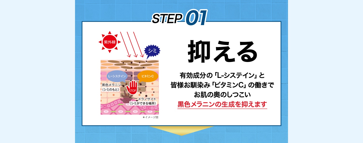 STEP01 抑える 有効成分の「L-システイン」と皆様お馴染み「ビタミンC」の働きでお肌の奥のしつこい黒色メラニンの生成を抑えます