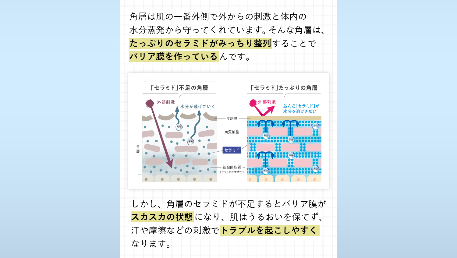角層は肌の一番外側で外からの刺激と体内の水分蒸発から守ってくれています。そんな角層は、たっぷりのセラミドがみっちり整列することでバリア膜を作っているんです。しかし、角層のセラミドが不足するとバリア膜がスカスカの状態になり、肌はうるおいを保てず、汗や摩擦などの刺激でトラブルを起こしやすくなります。