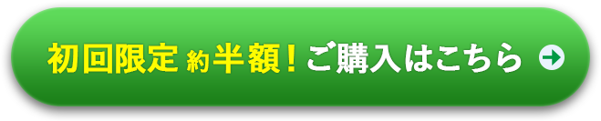 初回限定 約半額！ご購入はこちら