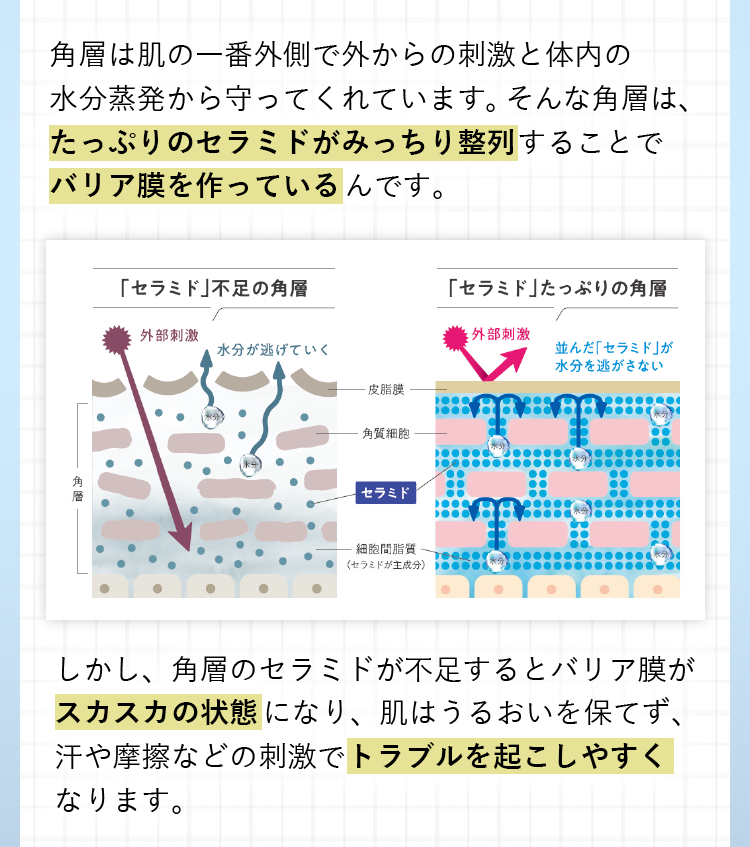 角層は肌の一番外側で外からの刺激と体内の水分蒸発から守ってくれています。そんな角層は、たっぷりのセラミドがみっちり整列することでバリア膜を作っているんです。しかし、角層のセラミドが不足するとバリア膜がスカスカの状態になり、肌はうるおいを保てず、汗や摩擦などの刺激でトラブルを起こしやすくなります。