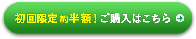 ご購入はこちら