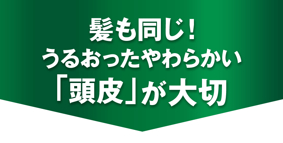 髪も同じ!うるおったやわらかい「頭皮」が大切