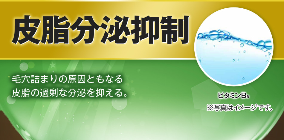 皮脂分泌抑制 毛穴詰まりの原因ともなる皮脂の過剰な分泌を抑える。ビタミンB6 ※写真はイメージです。