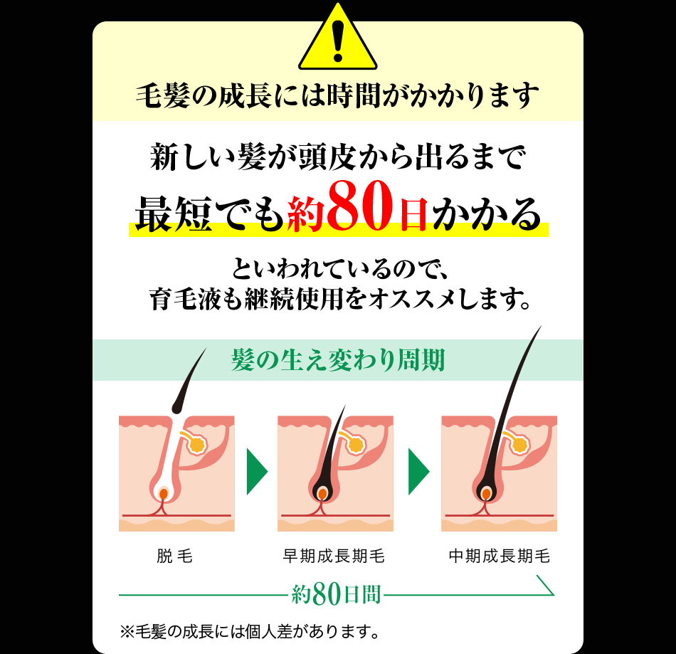 毛髪の成長には時間がかかります新しい髪が頭皮から出るまで最短でも約80日かかるといわれているので、育毛液も継続使用をオススメします。髪の生え変わり周期 脱毛 早期成長期毛 中期成長期毛 約80日間 ※毛髪の成長には個人差があります。