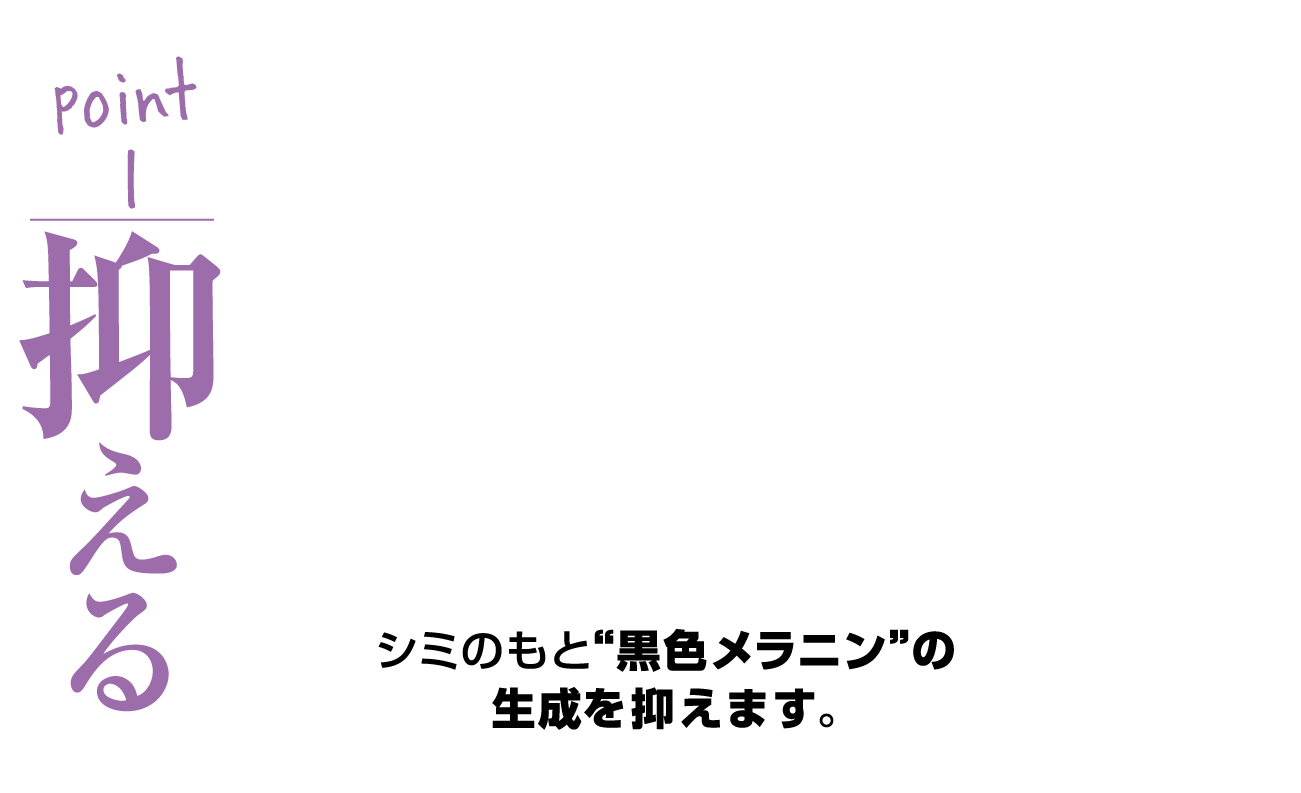 point01：抑える -- シミのもと'黒色メラニン'の生成を抑えます。
