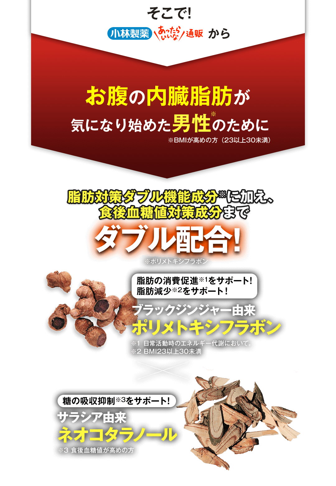 そこで！小林製薬あったらいいな通販からお腹の内臓脂肪が気になり始めた男性のために