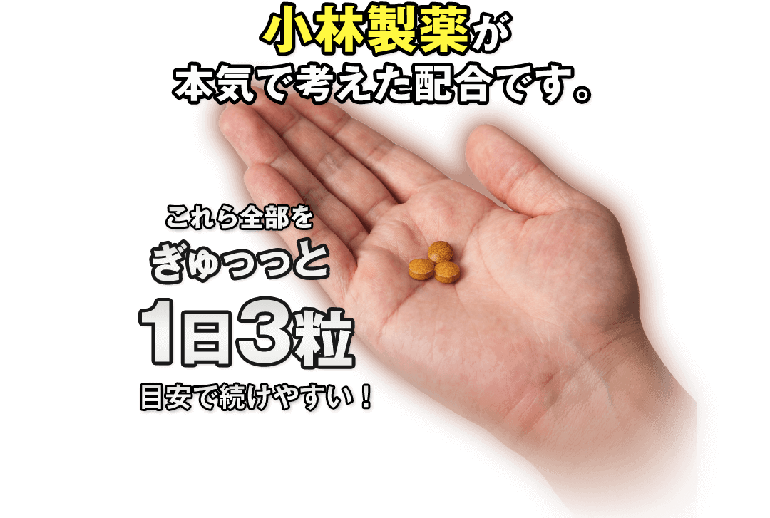 小林製薬が本気で考えた配合です。これら全部をぎゅっと1日3粒目安で続けやすい!