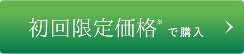 初回限定価格※で購入