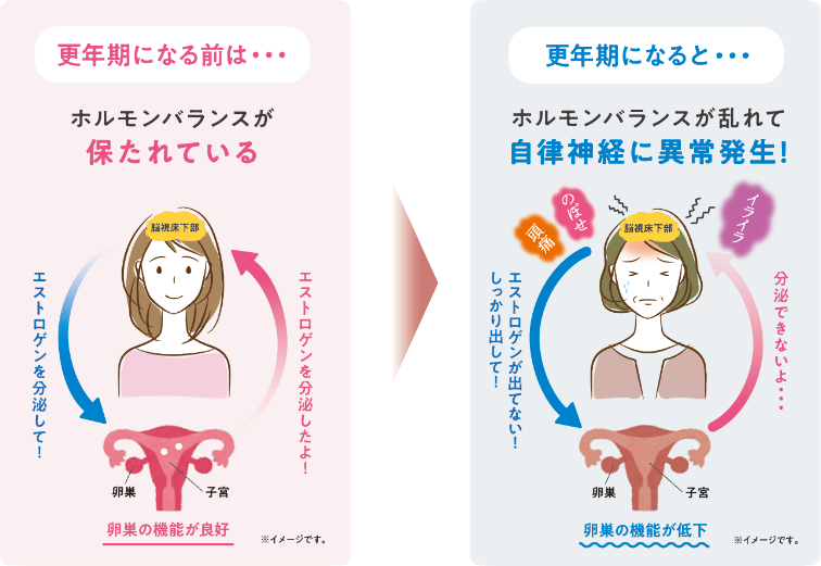 更年期になる前はホルモンバランスが健やかに保たれている 更年期になるとホルモンバランスが乱れて自律神経に異常が発生