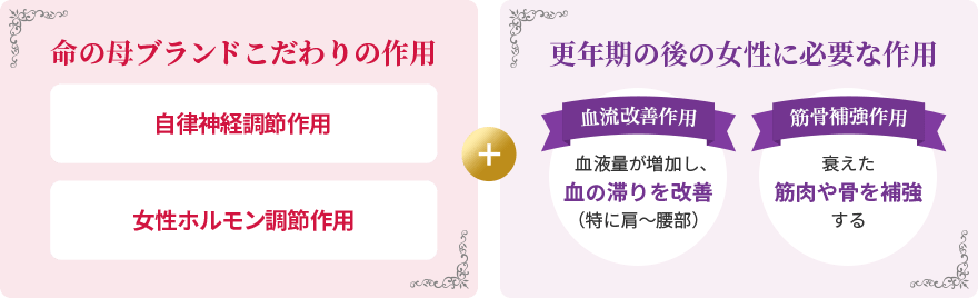 命の母ブランドこだわりの作用 自律神経調節作用 女性ホルモン調節作用 + 更年期の後の女性に必要な作用 血流改善作用 血液量が増加し、血の滞りを改善（特に肩～腰部） 筋骨補強作用 衰えた筋肉や骨を補強する
