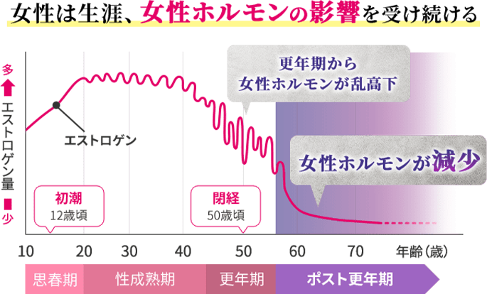 女性は生涯、女性ホルモンの影響を受け続ける