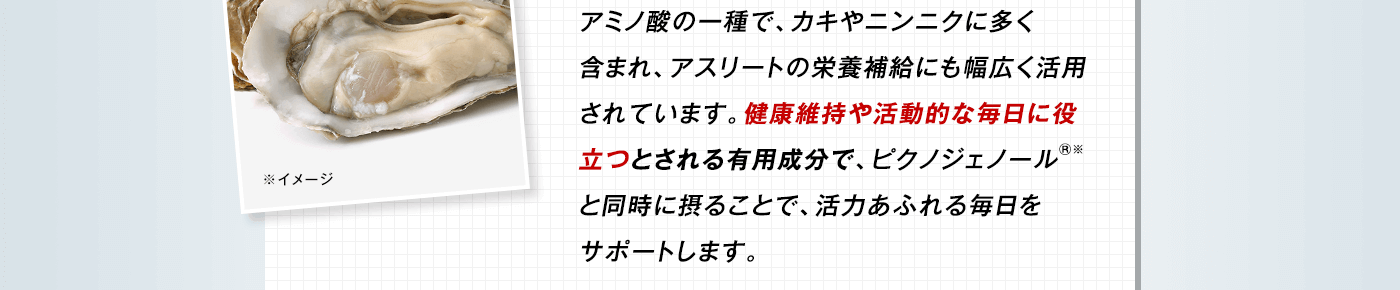 アミノ酸の一種で、カキやニンニクに多く含まれ、アスリートの栄養補給にも幅広く活用されています。健康維持や活動的な毎日に役立つとされる有用成分で、ピクノジェノール®※と同時に摂ることで、活力あふれる毎日をサポートします。