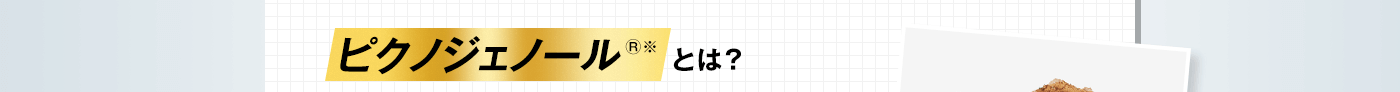 ピクノジェノール®※とは？