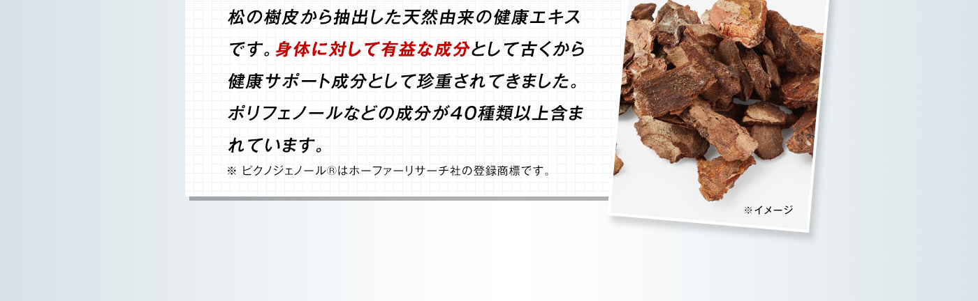 松の樹皮から抽出した天然由来の健康エキスです。身体に対して有益な成分として古くから健康サポート成分として珍重されてきました。ポリフェノールなどの成分が40種類以上含まれています。※ ピクノジェノール®はホーファーリサーチ社の登録商標です。