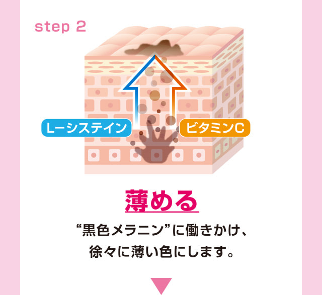 step2 L-システイン ビタミンC 薄める“黒色メラニン”に働きかけ、徐々に薄い色にします。