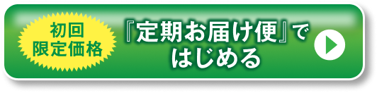 初回限定価格「定期お届け便」ではじめる