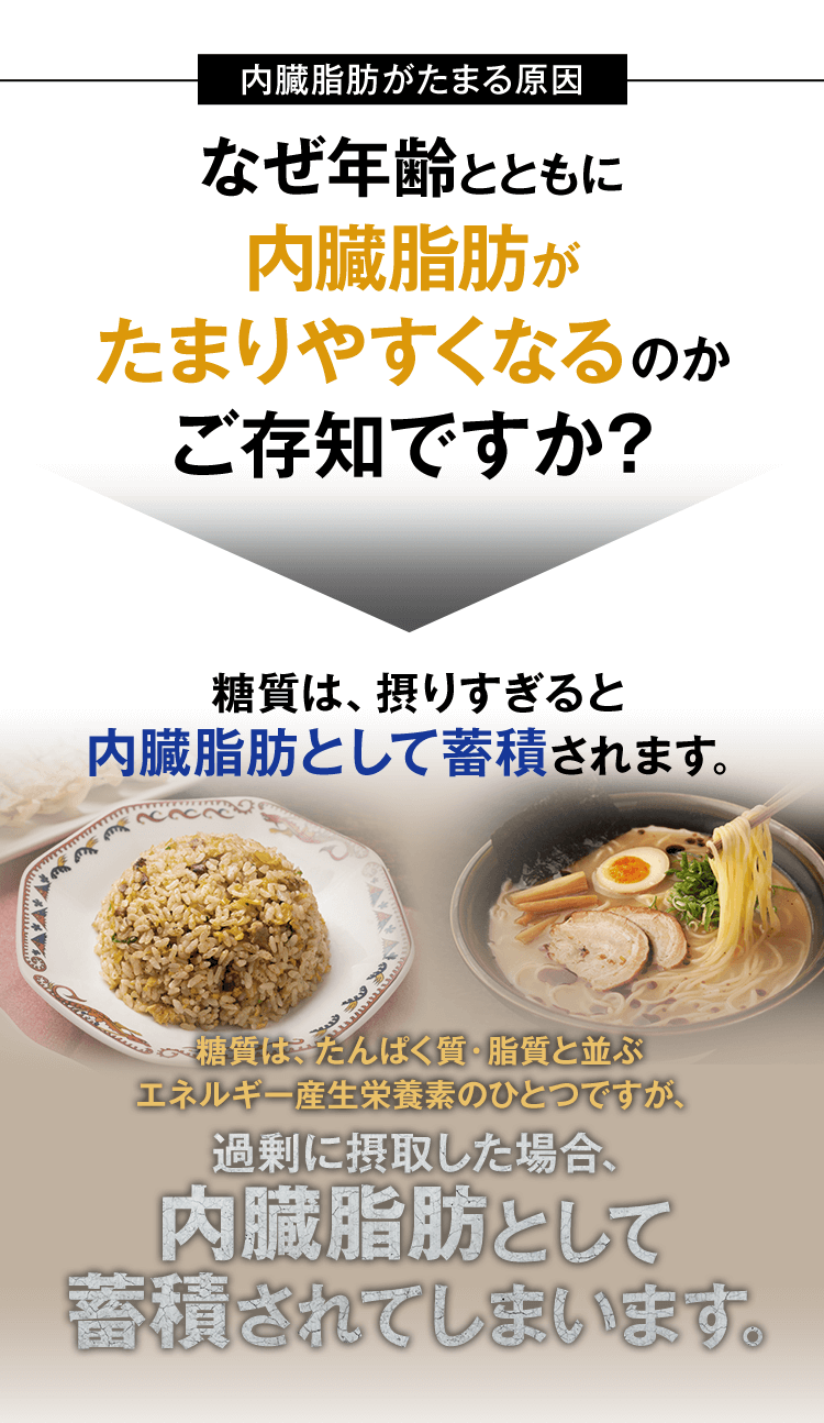 内臓脂肪がたまる原因 なぜ年齢とともに内臓脂肪がたまりやすくなるのかご存知ですか?糖質は、摂りすぎると内臓脂肪として蓄積されます。糖質は、たんぱく質・脂質と並ぶエネルギー産生栄養素のひとつですが、過剰に摂取した場合、内臓脂肪として蓄積されてしまいます。