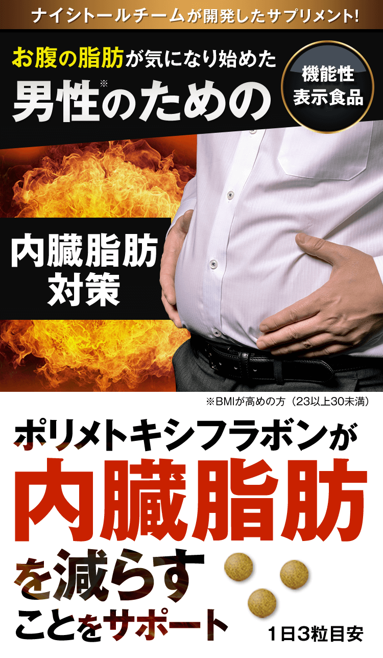 ナイシヘルプα | 小林製薬