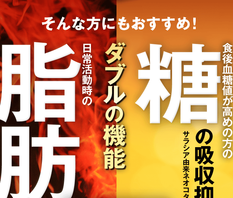 そんな方にもおすすめ!ダブルの機能 食後血糖値が高めの方の糖の吸収抑制をサポート! 日常活動時の脂肪の消費促進をサポート!