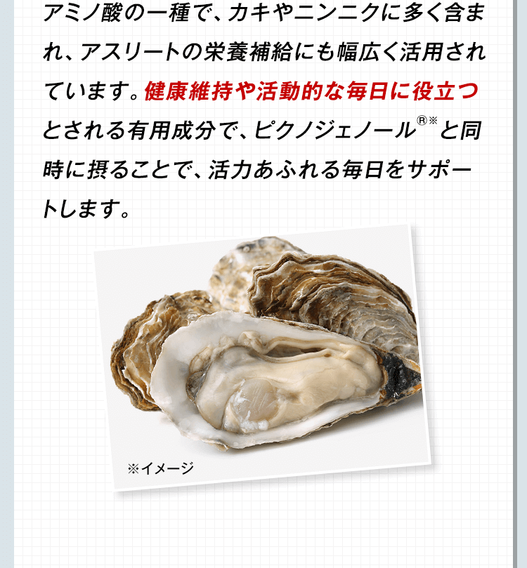 アミノ酸の一種で、カキやニンニクに多く含まれ、アスリートの栄養補給にも幅広く活用されています。健康維持や活動的な毎日に役立つとされる有用成分で、ピクノジェノール®※と同時に摂ることで、活力あふれる毎日をサポートします。