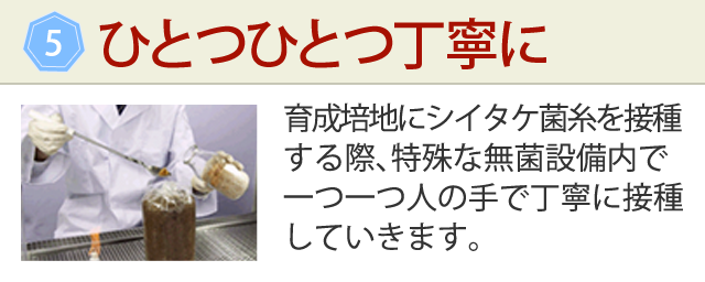 小林製薬のシイタケ菌糸体配合製品「シイタゲンα」 | 小林製薬の 小林製薬のシイタケ菌糸体配合製品「シイタゲンα」 | 小林製薬の